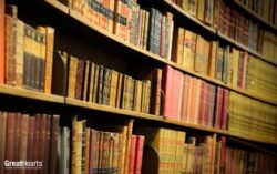 bookcase
